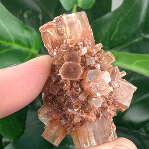 Earthy Aragonite Sputnik Crystal | Grounding & Emotional Balance