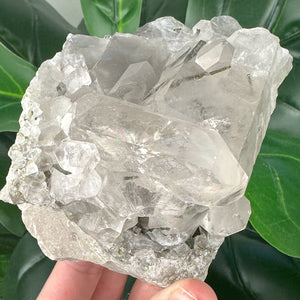 Large Epidote in Quartz Statement Piece | Growth & Manifestation