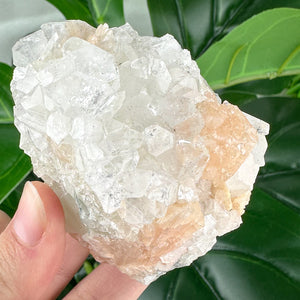 Apophyllite Cluster No.4 – Delicate Points & Soft Tones (180g)