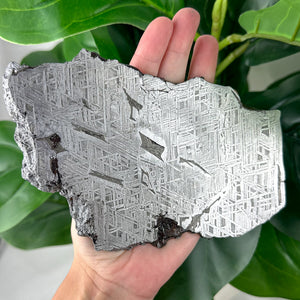 Muonionalusta Meteorite Slice 482g | Iron Meteorite Specimen