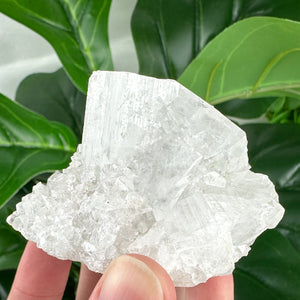 Apophyllite Cluster No.5 – Rainbow Cubes & Clarity (167g)