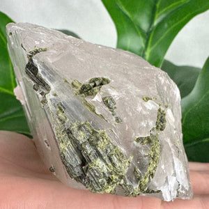 Large Epidote in Quartz Crystal | Transformation & Spiritual Growth