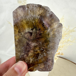 Super Seven Slab - Unique Collector's Piece