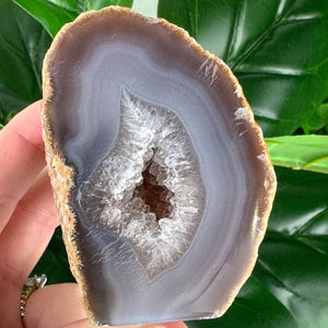 Agate Slice with Deep Druzy Pocket | Triangular Cavern-Like Center | Freestanding Raw