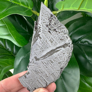 Muonionalusta Meteorite Slice 77g | Natural Iron Meteorite