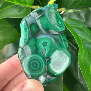 Premium Malachite Crystal | Protection, Confidence & Heart Healing
