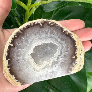 Smoky Agate Geode Slice with Sparkling Centre