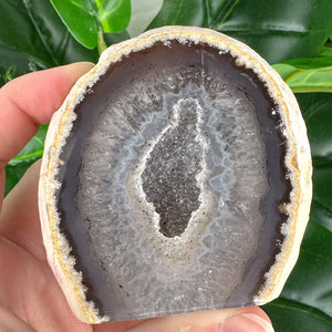 Agate Base Cut with Large Oval Druzy Pocket | Freestanding Polished Crystal | Sparkly Earth Tones