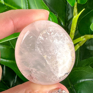 Rose Quartz Palm Stone And Tumbles- Choose Your Own!