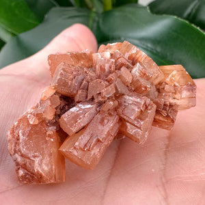 Aragonite Sputnik Crystal Cluster | Grounding, Stability & Earth Energy
