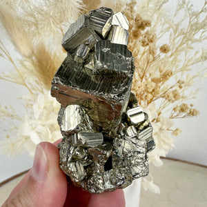 Golden Brilliance: Premium Pyrite Cluster of Strength