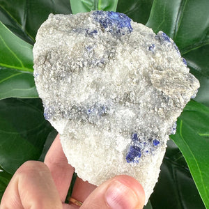 Lazurite Specimen | Intuition, Wisdom & Spiritual Awareness