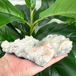 Apophyllite Cluster No.1 – Clear Points & Peach Selenite (Large 395g)