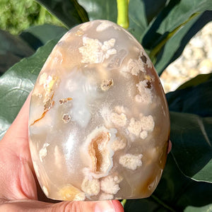 Natural Flower Agate Free Form | Self Love, Soft Energy & Healing Crystal