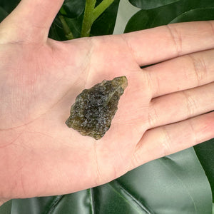 Moldavite 30ct | Genuine Tektite | Transformation Crystal