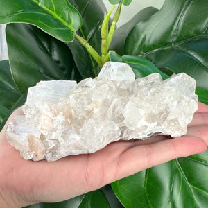 Premium Apophyllite Cluster | Clarity, Serenity & Spiritual Connection