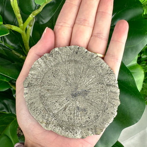 Large Pyrite Sun Crystal (103g), Raw Collector Mineral for Protection & Power