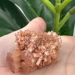 Aragonite Sputnik Formation | Earth Energy, Grounding & Support