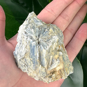 Blue Kyanite Mineral Specimen | Alignment, Calm & Intuition