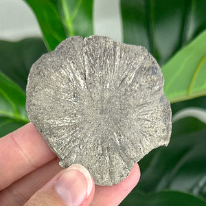 Small Pyrite Sun Crystal (58g) – Rare Collector’s Mineral for Protection & Abundance