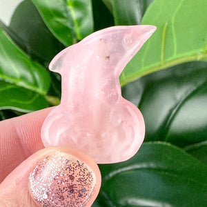 Rose Quartz Mini Dolphin Carving
