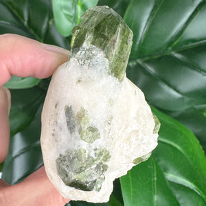 Diopside Healing Crystal | Compassion, Grounding & Heart Chakra Energy
