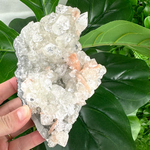 Apophyllite Cluster No.1 – Clear Points & Peach Selenite (Large 395g)