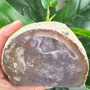 Premium Agate Geode | Natural Druzy Crystal Statement Piece