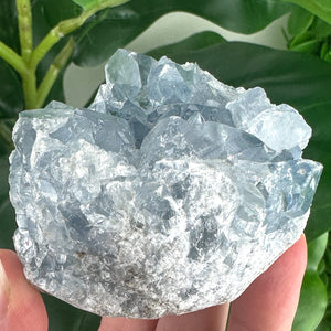 Celestite Cluster “Rainbow Portal”