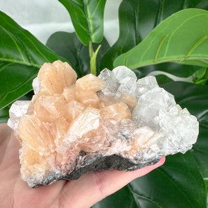 Apophyllite Cluster No.3 – Rainbow Light & Peaceful Vibes (210g)