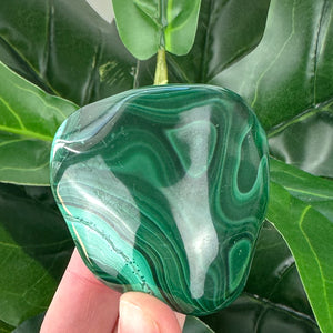 Premium Malachite Polished Crystal | Protection & Transformation