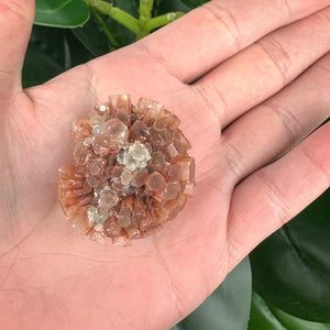 Aragonite Sputnik Mineral Specimen | Grounding & Calming Crystal