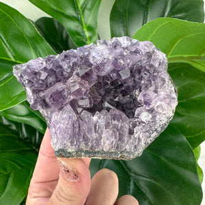 Large Amethyst Cluster- Choose Your Own