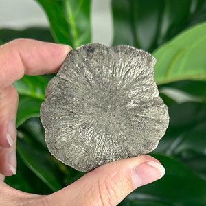 Small Pyrite Sun Crystal (58g) – Rare Collector’s Mineral for Protection & Abundance