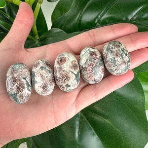 Flower Agate Tumble | Growth & New Beginnings | Self Discovery