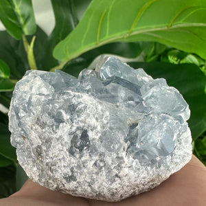 Celestite Cluster “Rainbow Portal”