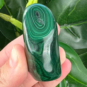 Polished Malachite Crystal | Heart Chakra & Protective Energy