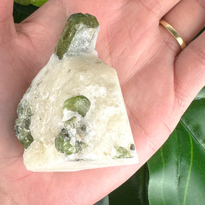 Diopside Healing Crystal | Compassion, Grounding & Heart Chakra Energy