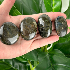 Labradorite Tumble (High Quality)- Intuitively Chosen