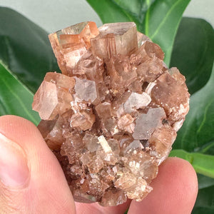 Natural Aragonite Crystal Sputnik | Grounding, Meditation & Calm
