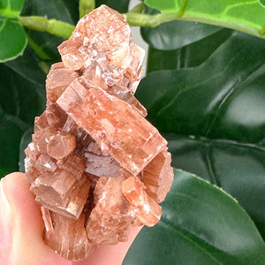 Aragonite Sputnik Crystal Cluster | Grounding, Stability & Earth Energy