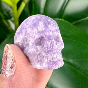 Mini Crystal Skulls | Choose Your Crystal | Spiritual Decor