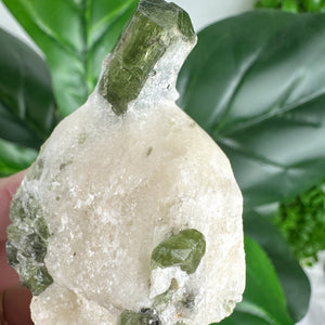 Diopside Healing Crystal | Compassion, Grounding & Heart Chakra Energy