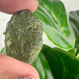 Genuine Czech Republic Moldavite- Choose Your Own