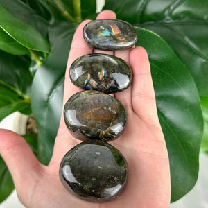 Labradorite Tumble (High Quality)- Intuitively Chosen