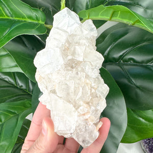 Premium Apophyllite Cluster | Clarity, Serenity & Spiritual Connection