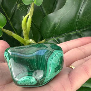 Premium Malachite Polished Crystal | Protection & Transformation