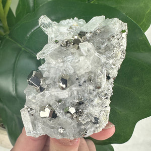 Medium Clear Quartz With Pyrite- Choose Your Own