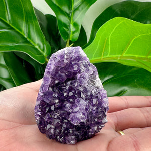 Amethyst Geode Freeforms- Choose Your Own