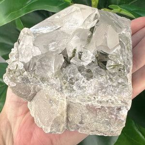 Large Epidote in Quartz Statement Piece | Growth & Manifestation